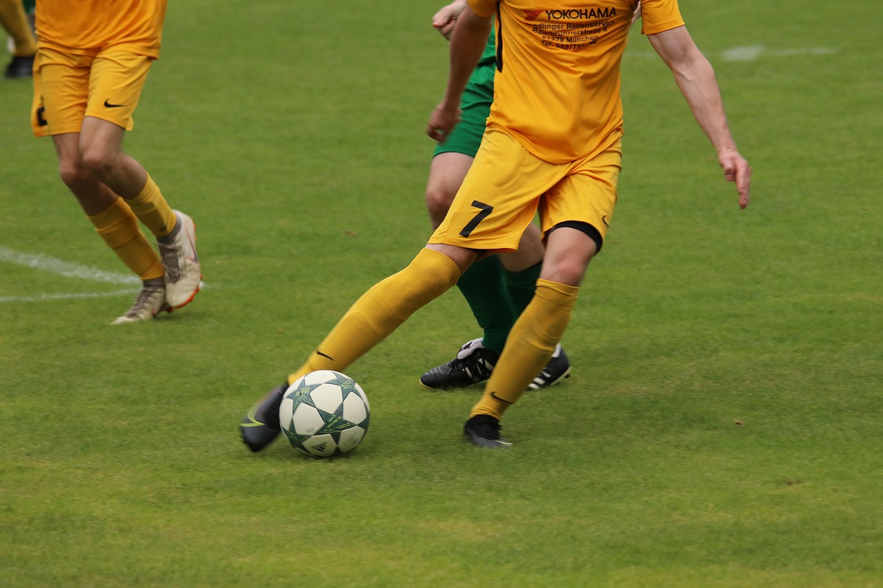 能力和精湛 能力和精湛