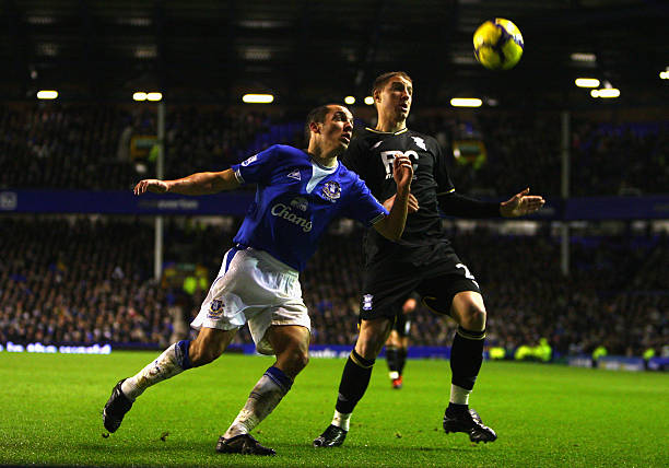 专家们的热 专家们的热